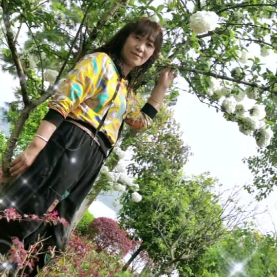 春暖花开