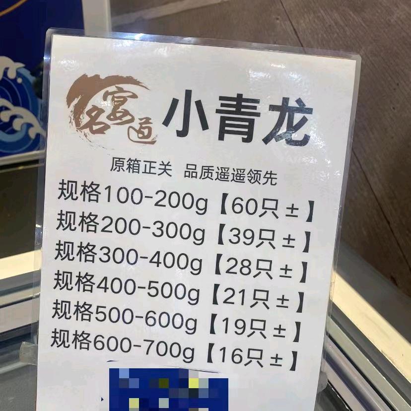 龙霆海霸（越南青龙仔>