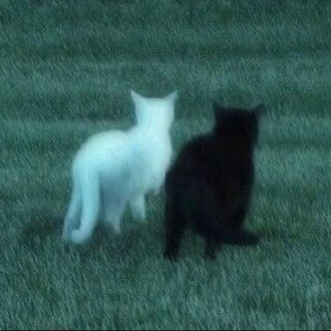 雨季