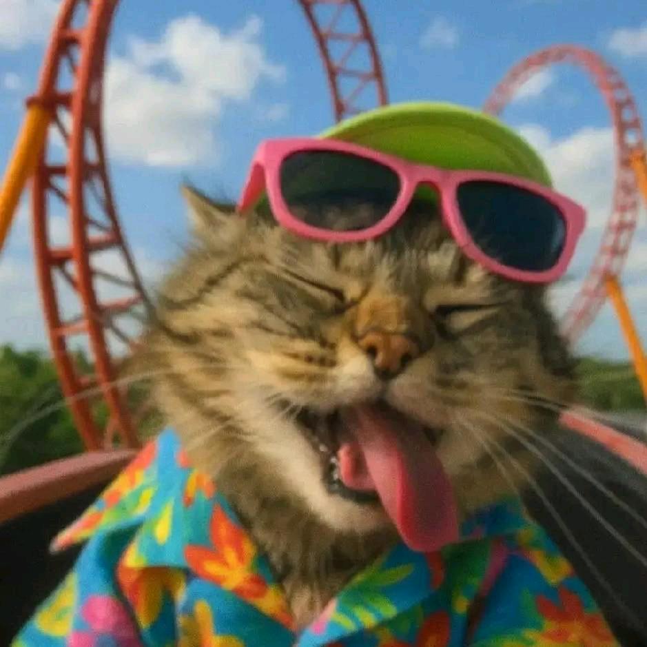 射阳凤凰广场小米之家