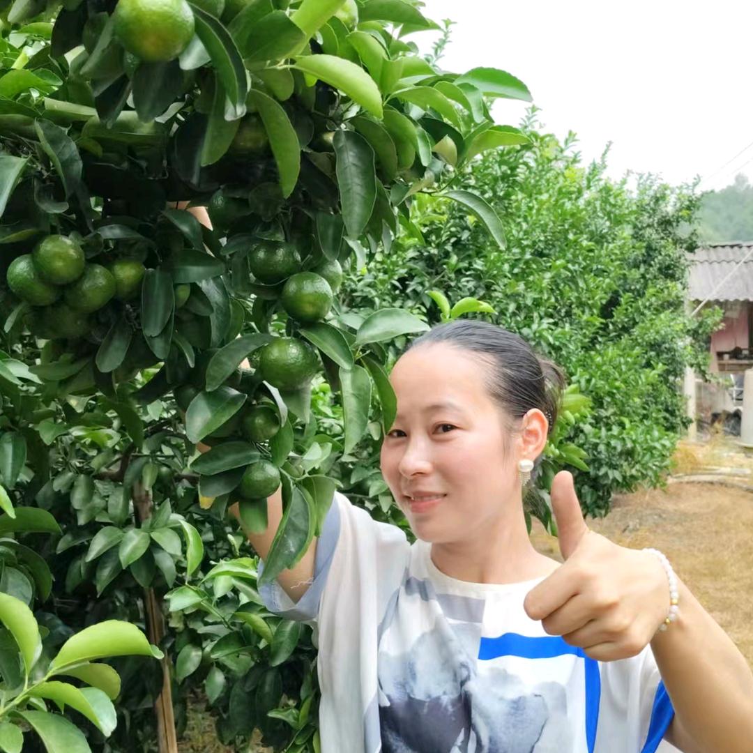 俪元柑橘管理分享