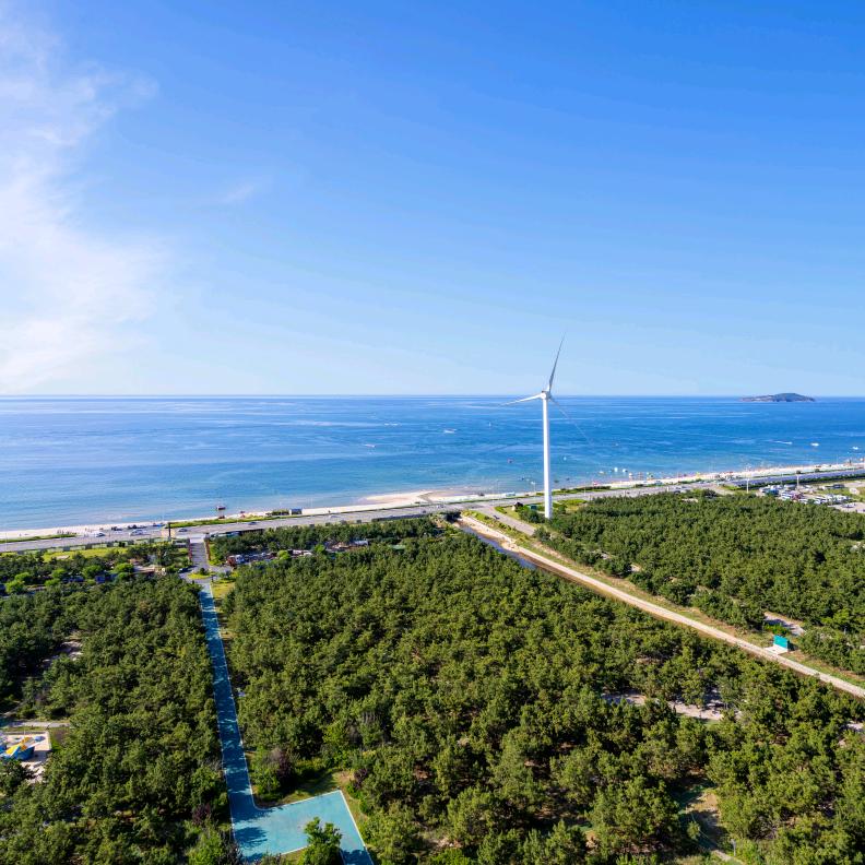流浪的麦兜