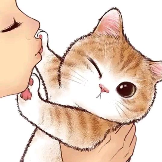 是橙子吖