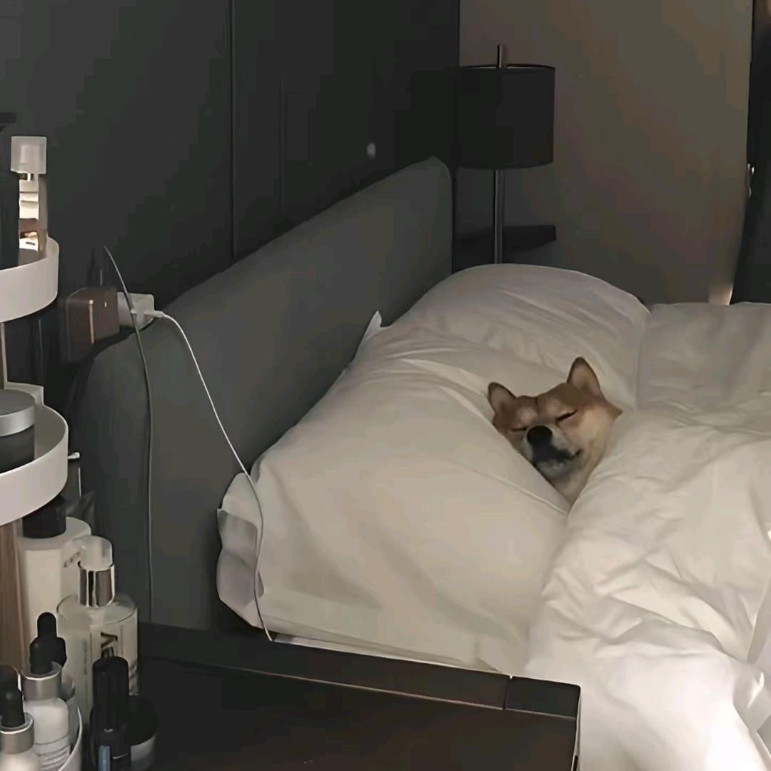 怀仁