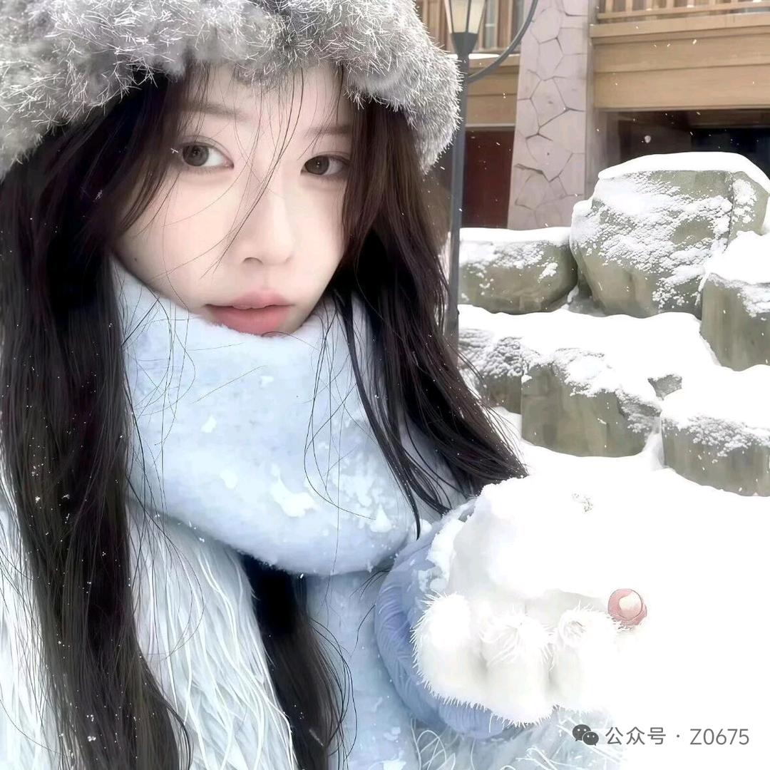 猫猫
