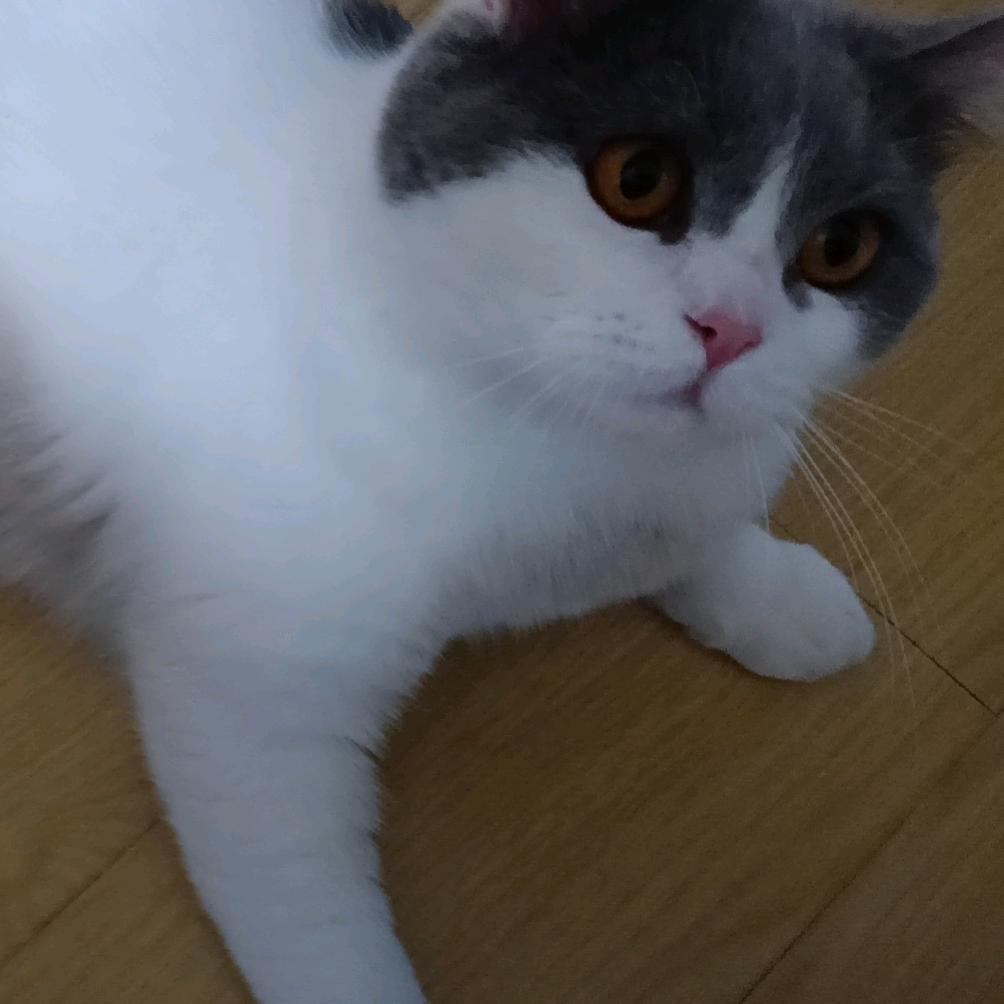 努力奋斗