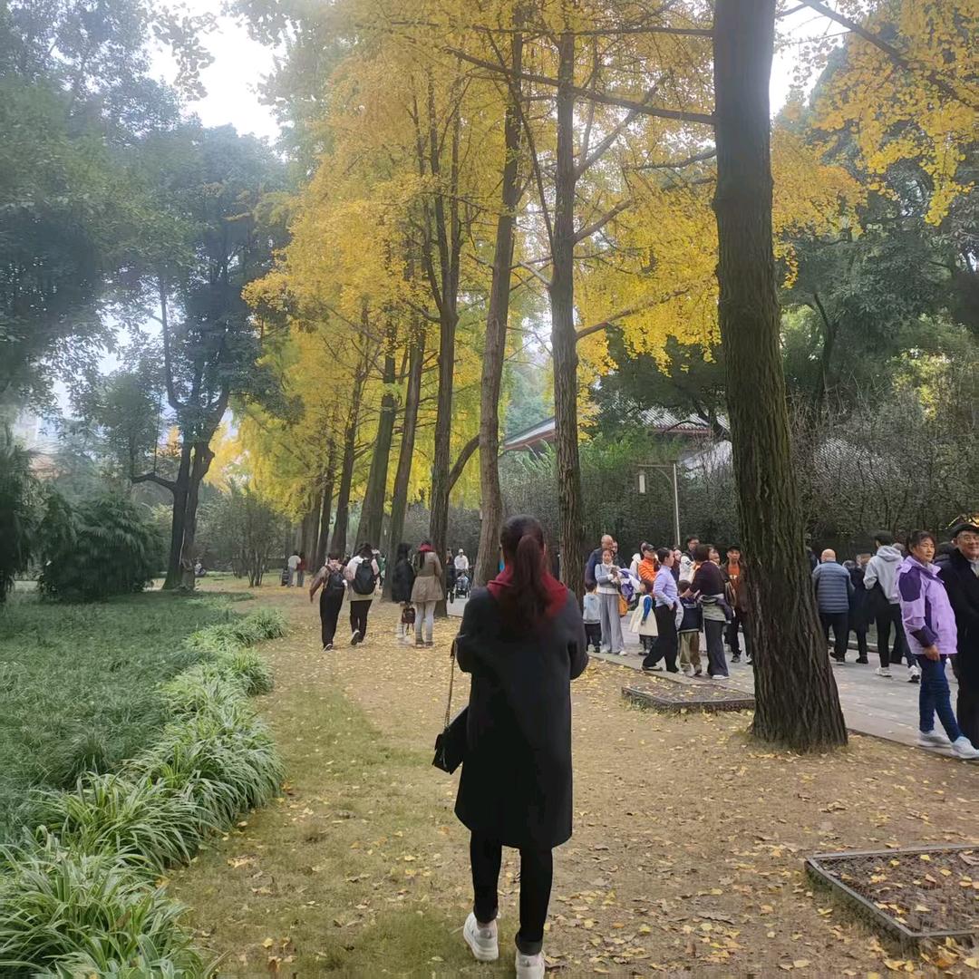 过好每一天，拒绝合拍