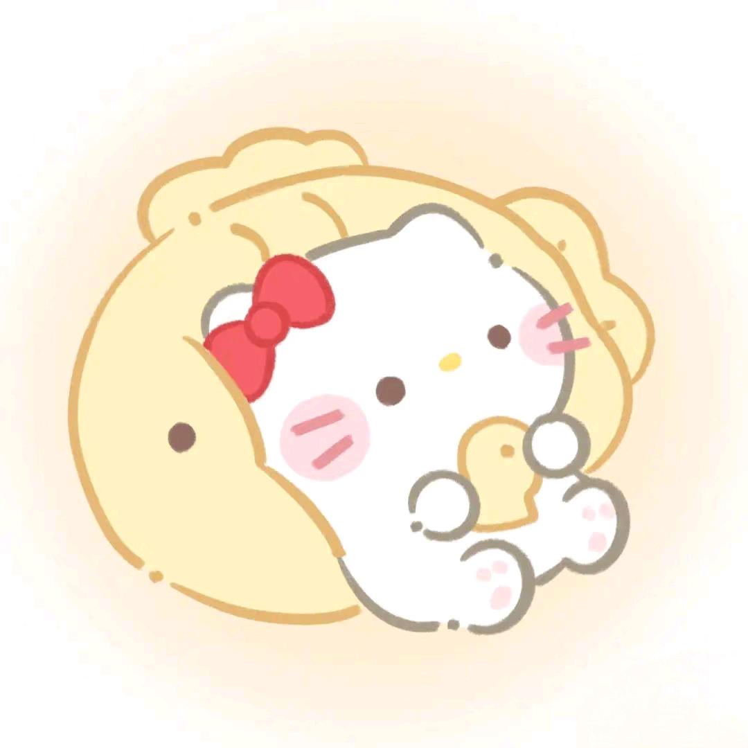 不会飞飞机的李李