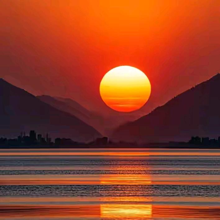大杨dy