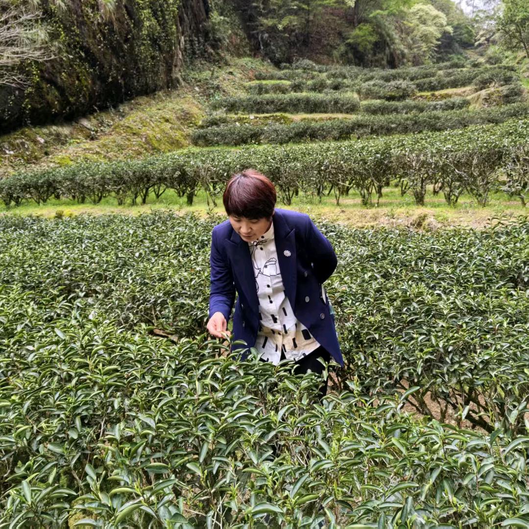 运事达茶叶静姐