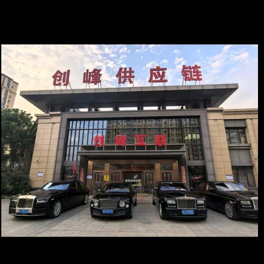 雅丽国际贸易