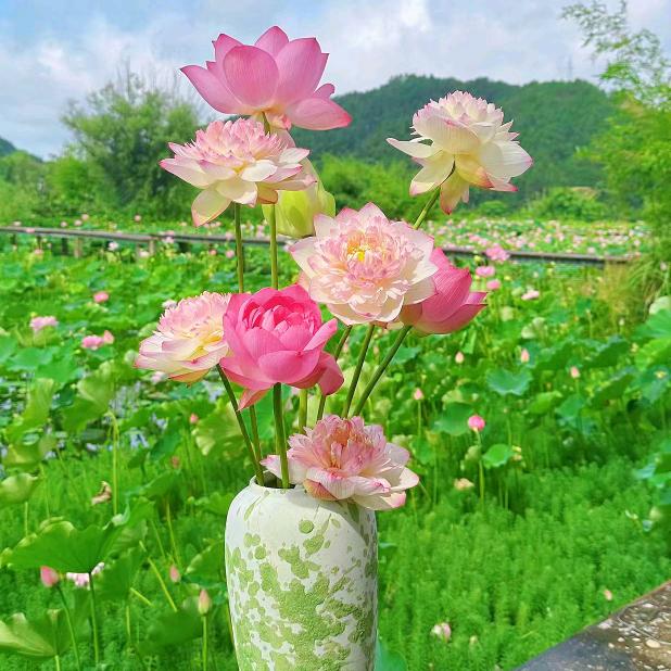 🍀幸运儿就是我