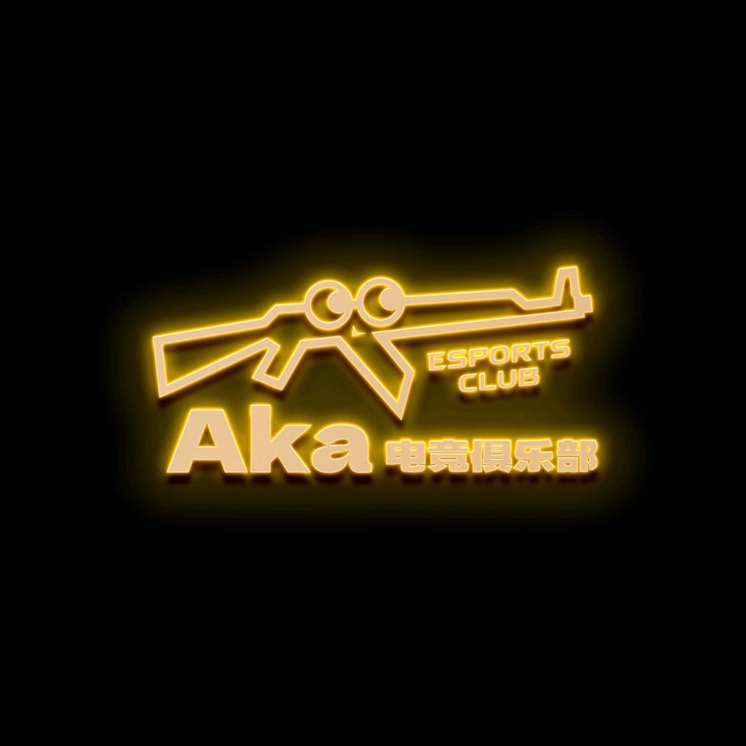 Aka_主理人🌟