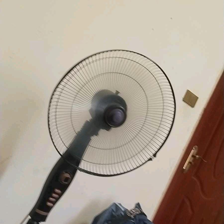 买个风扇过冬