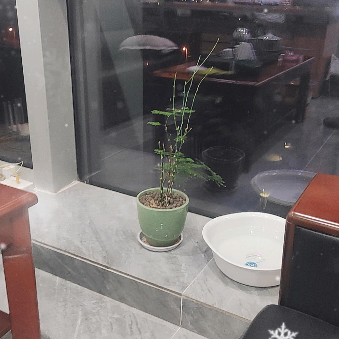 墨日百货
