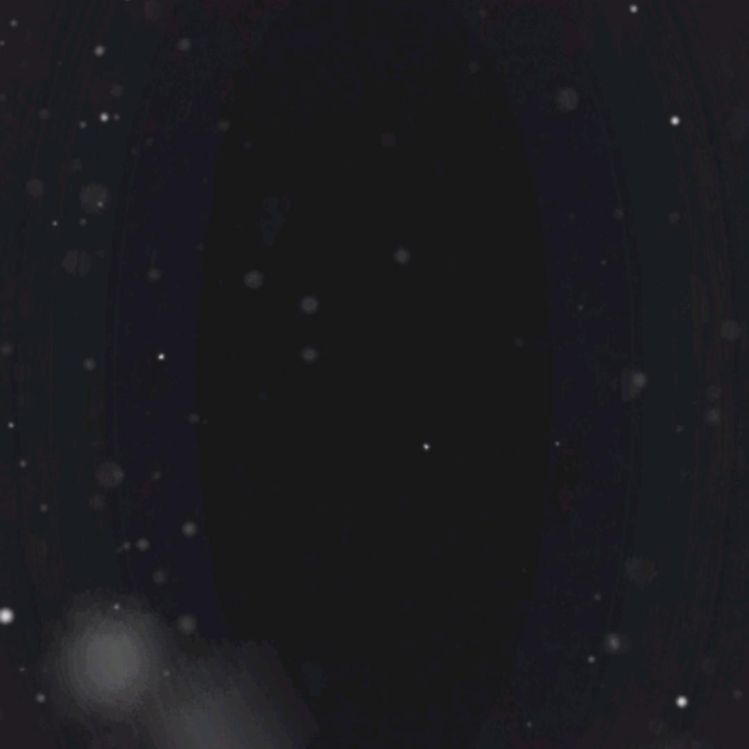 02和莓都是我的