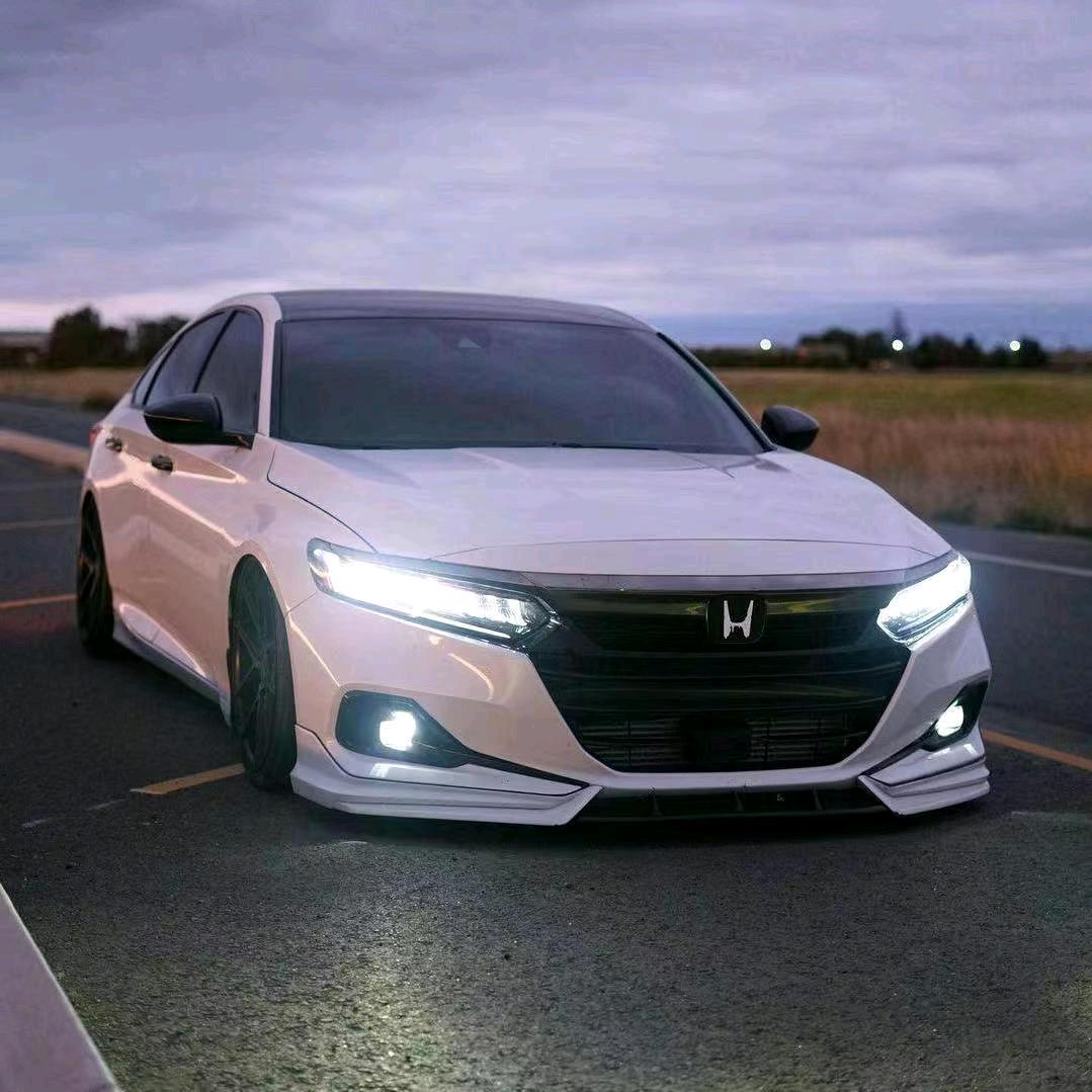 GT家👻屁股蛋🎫