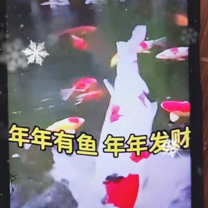 广东，深圳，