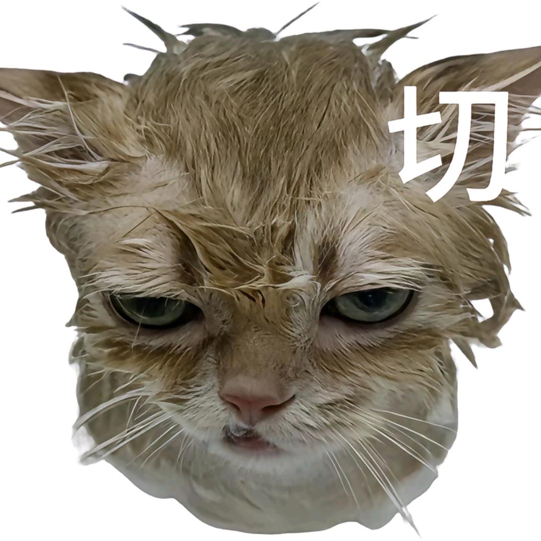 啊布呆呆🌙