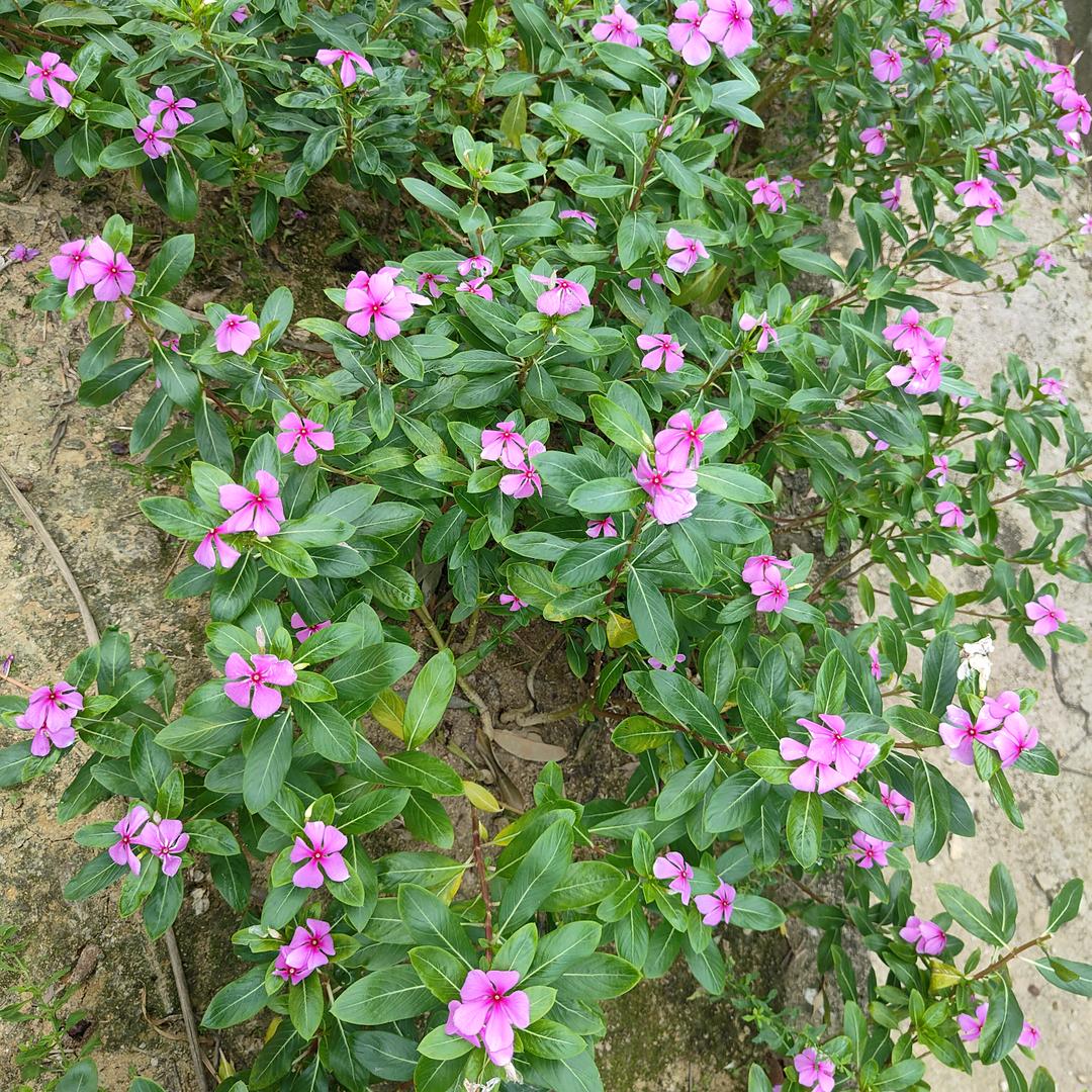 暴富暴美❤