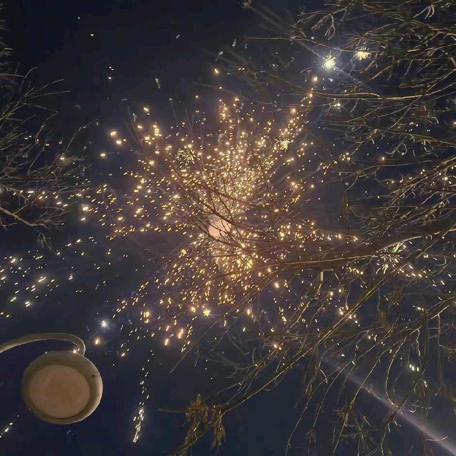 🌈🌈🌈🌈相思勿忘（跑步版）