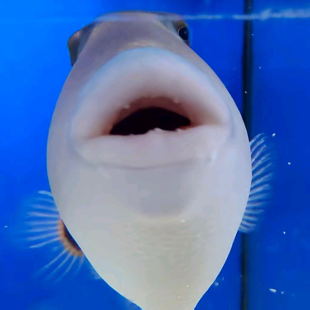 ☆茈孒兂情☆