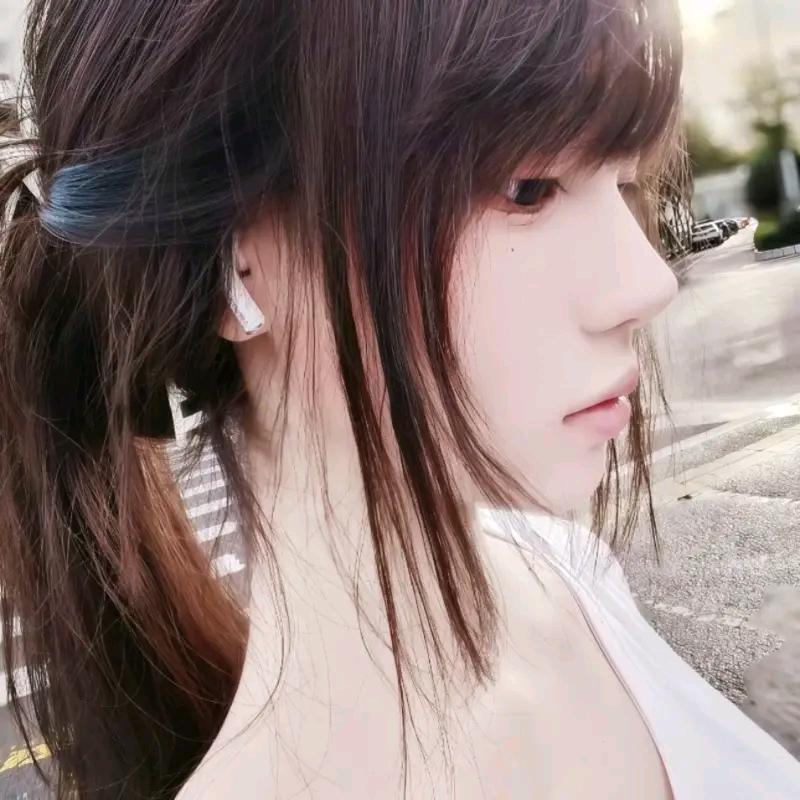 努力赚钱养小猫