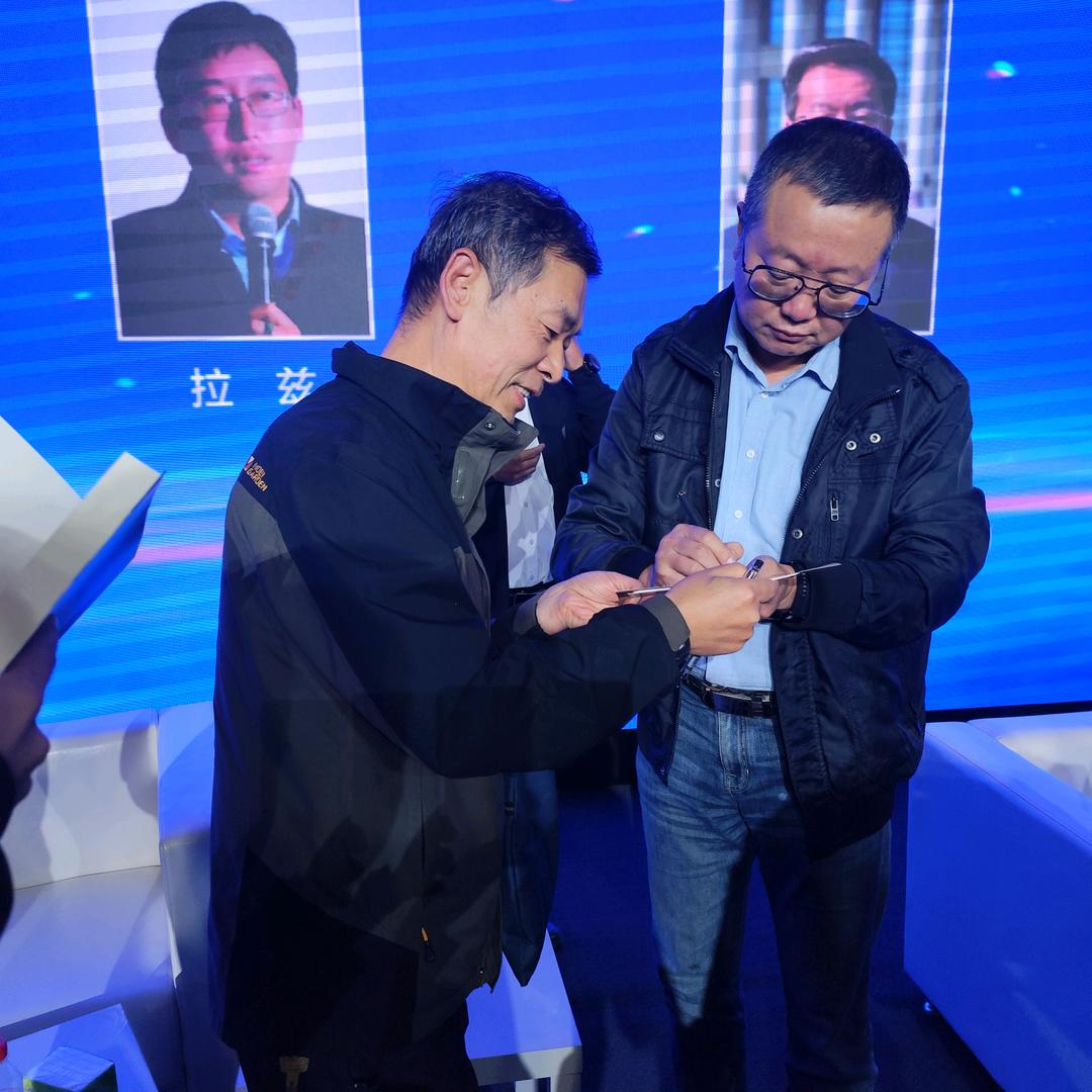 小马过河