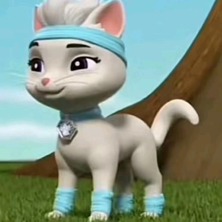 福州公交地铁迷