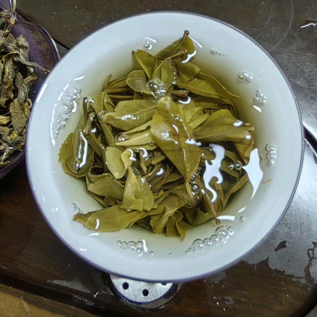 高山生态茶