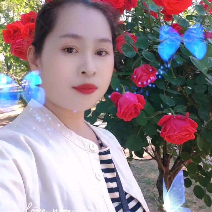 小红爱猫猫