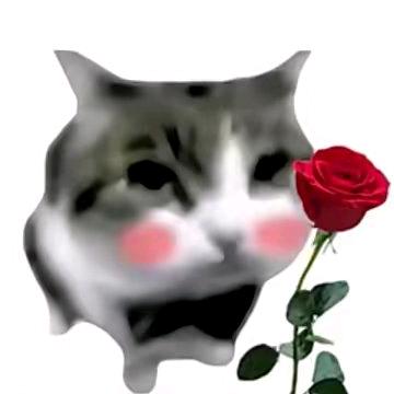 名字很长会有人读