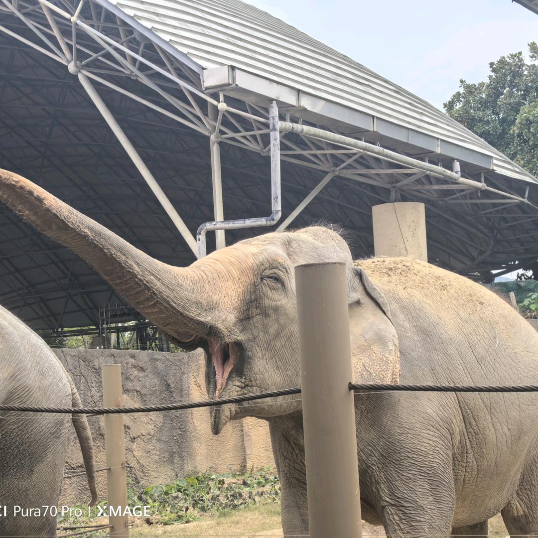 半醒半醉半浮生