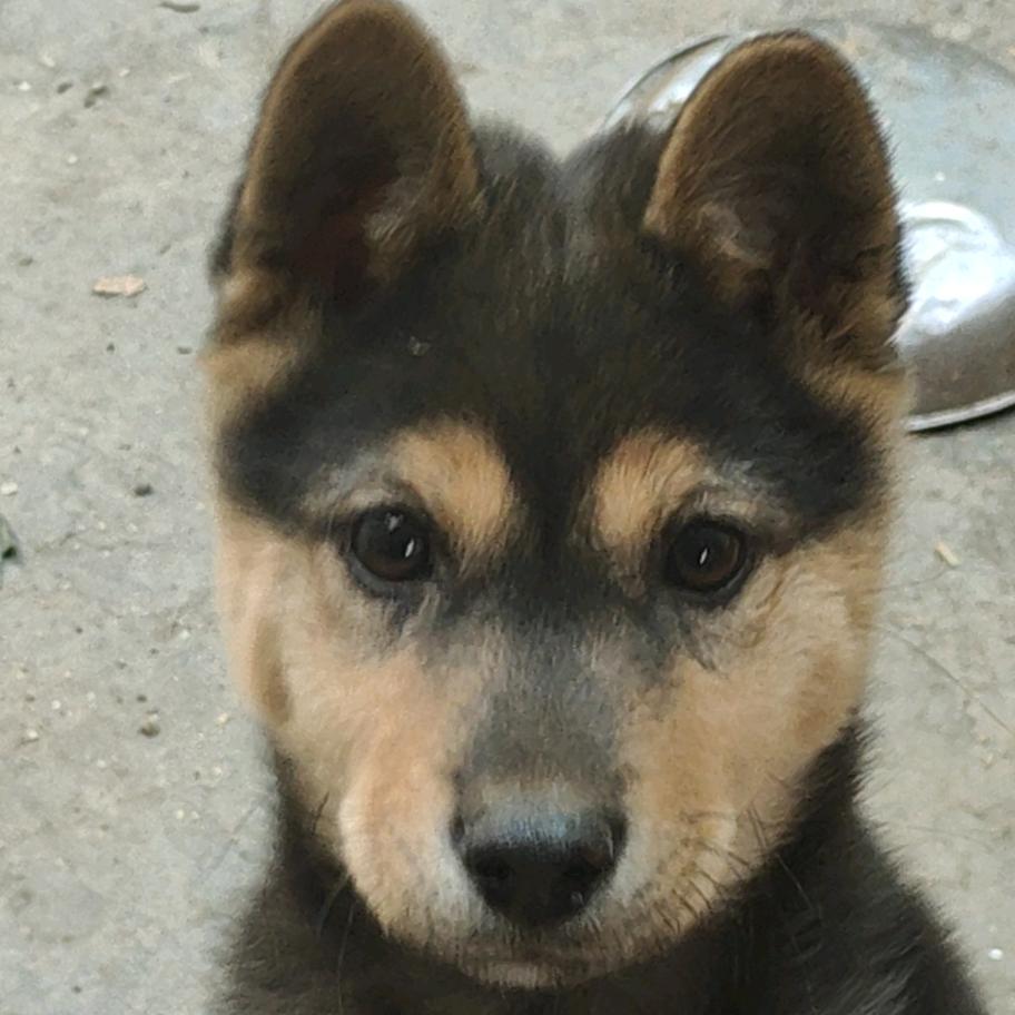 Lucky-异世界的仁