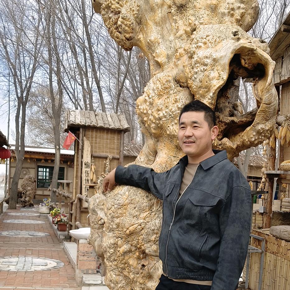 zhanglei968573