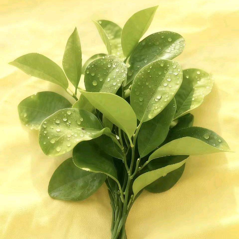 沽上江南惠民大食堂