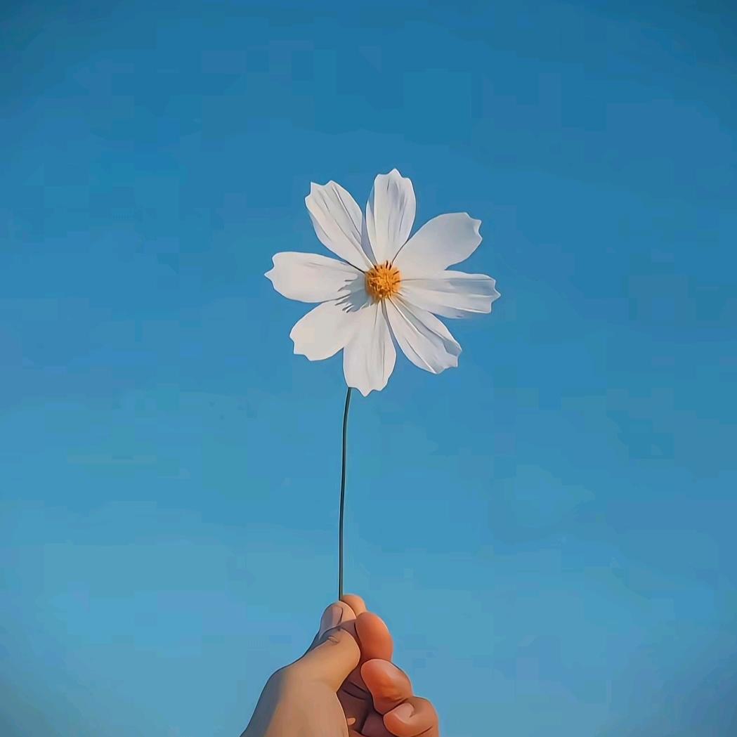 爱打游戏的龙龙