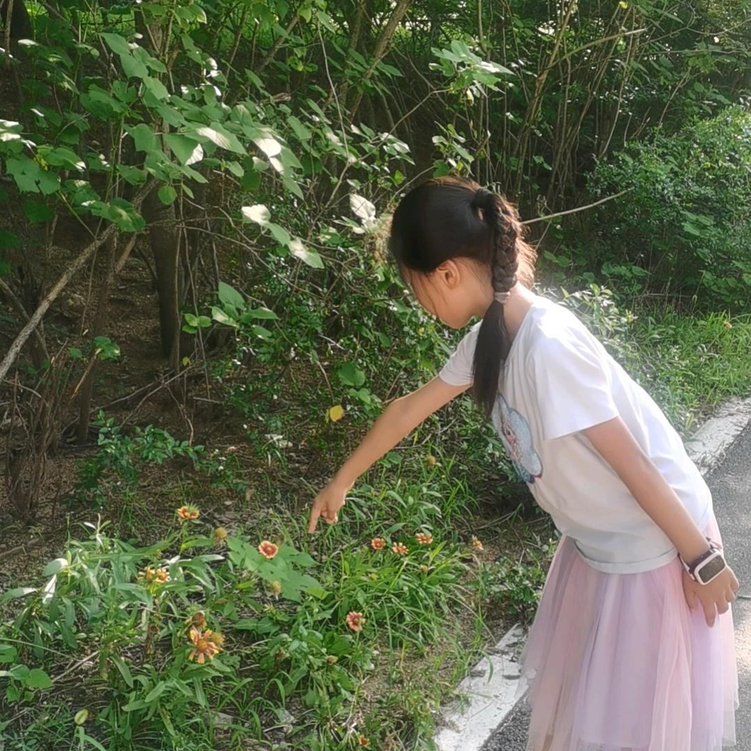 竹竹