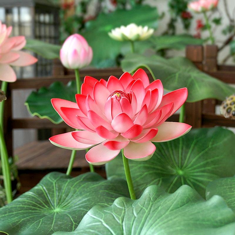 闸全阁