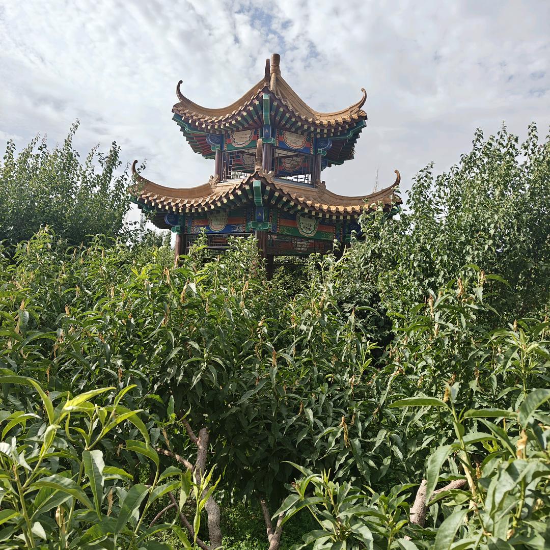 黑马家政