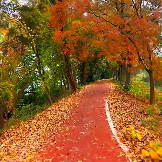 ༂人间✨烟火꧉ིྀ