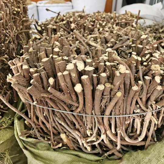 主营甘草、合欢花