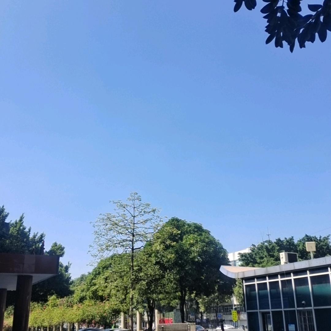 皮卡丘。