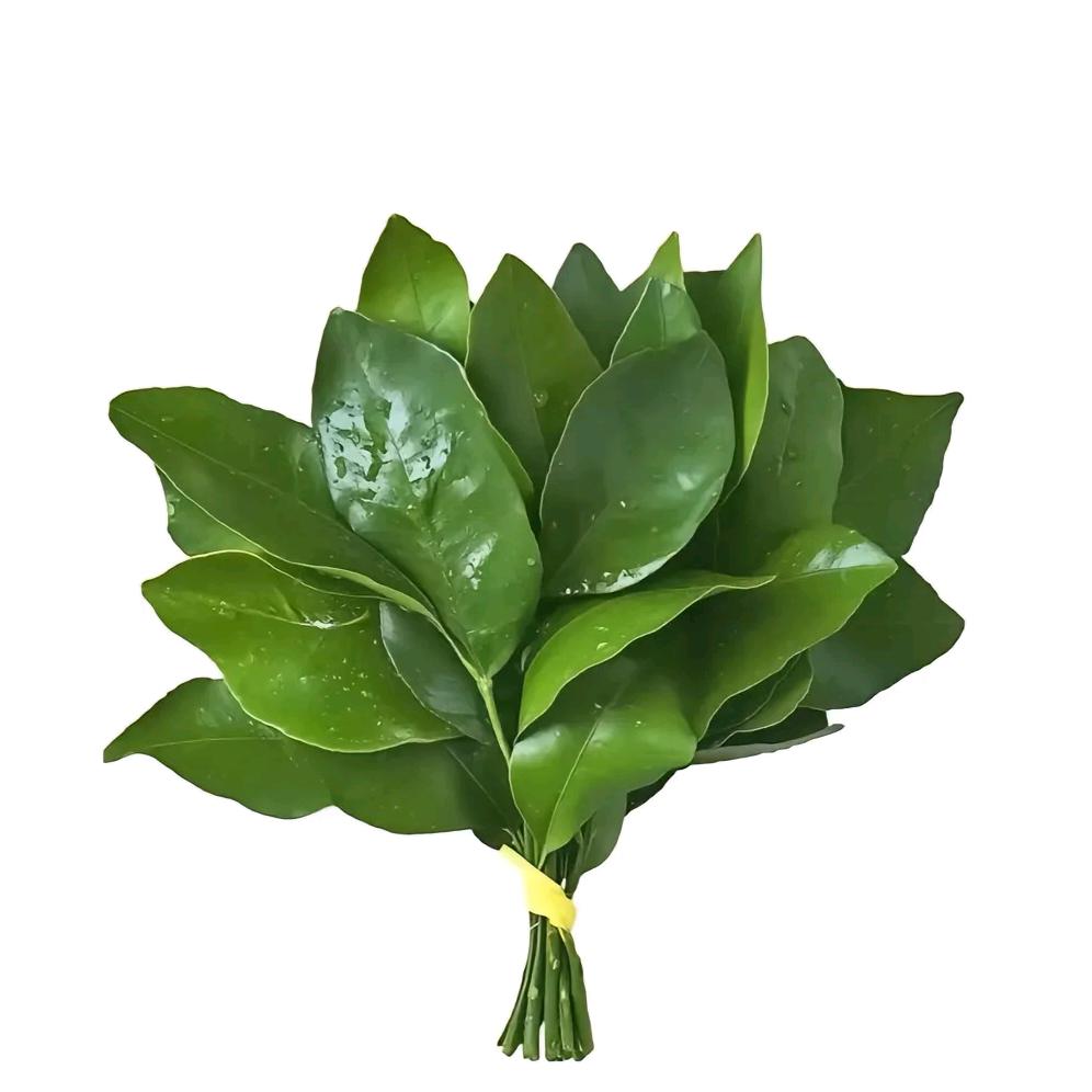 莓烦恼