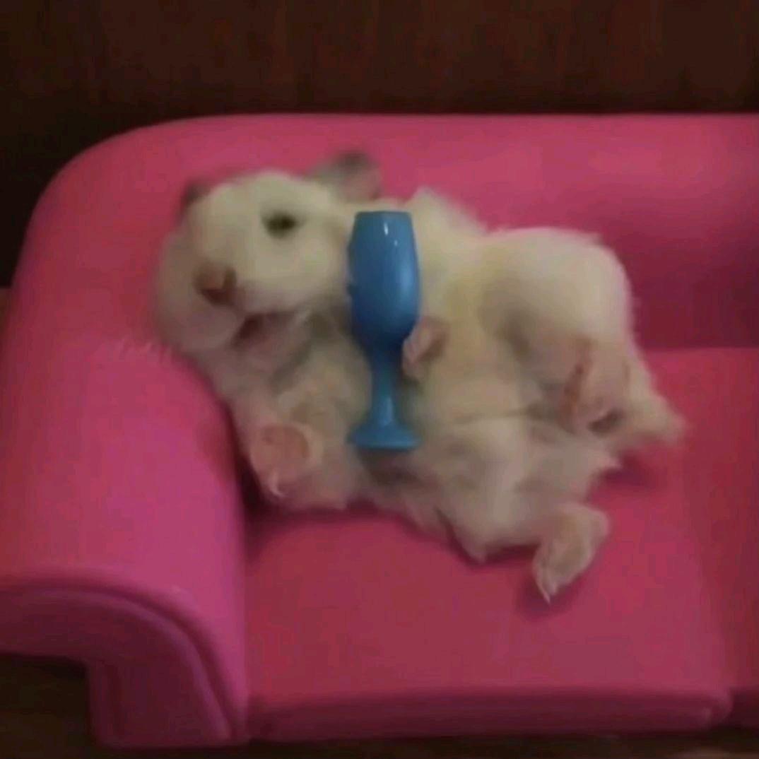 我故意的