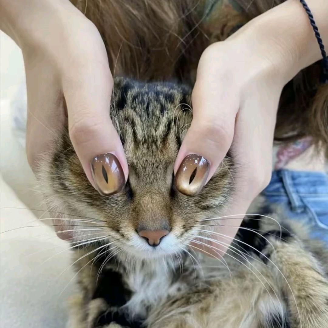 遇见大好心情