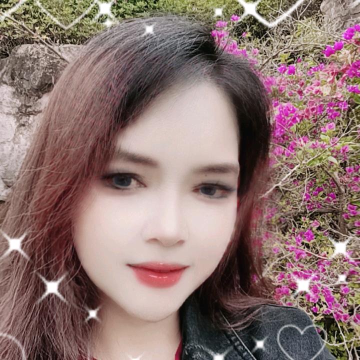 🌻🌺烟雨梦🌻🌹