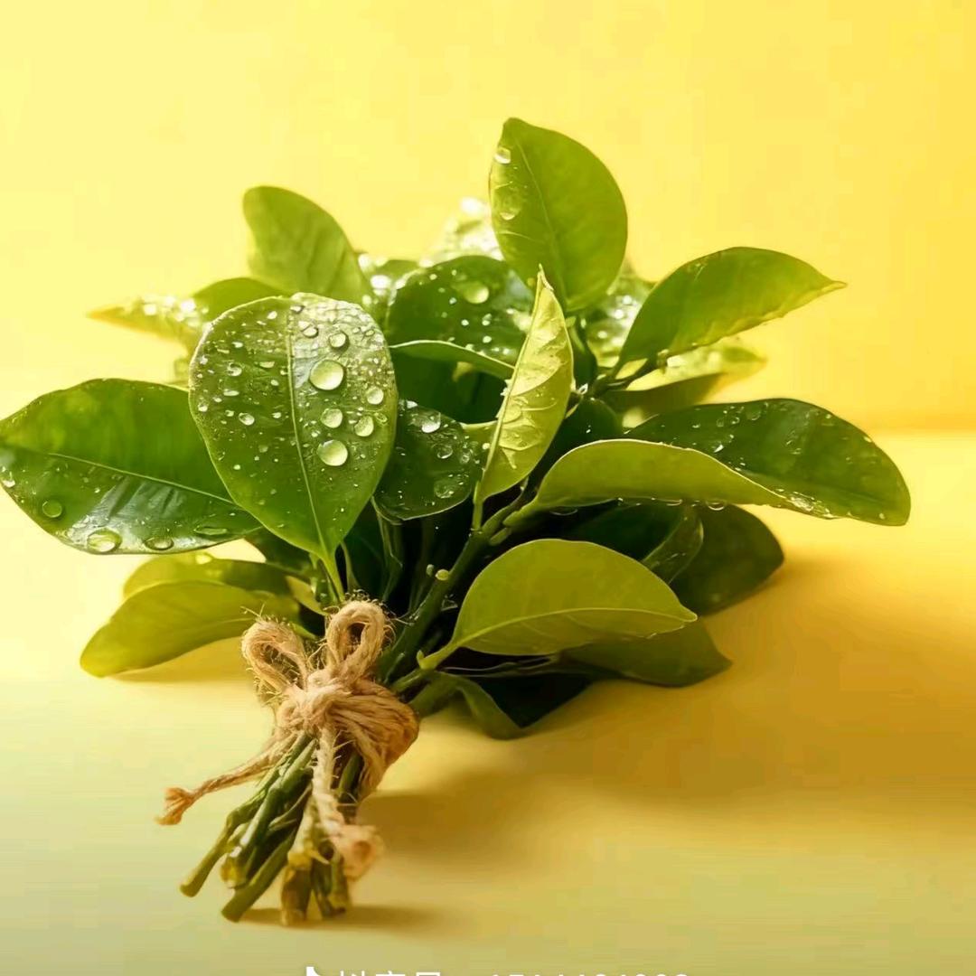 🌸এ花漾时光💞ོ࿐