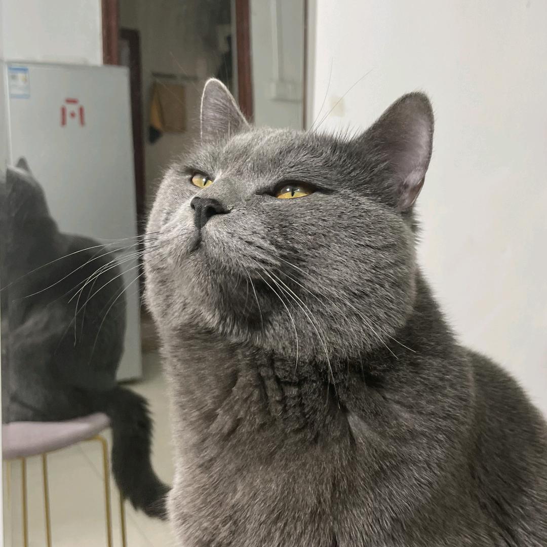 家有火锅