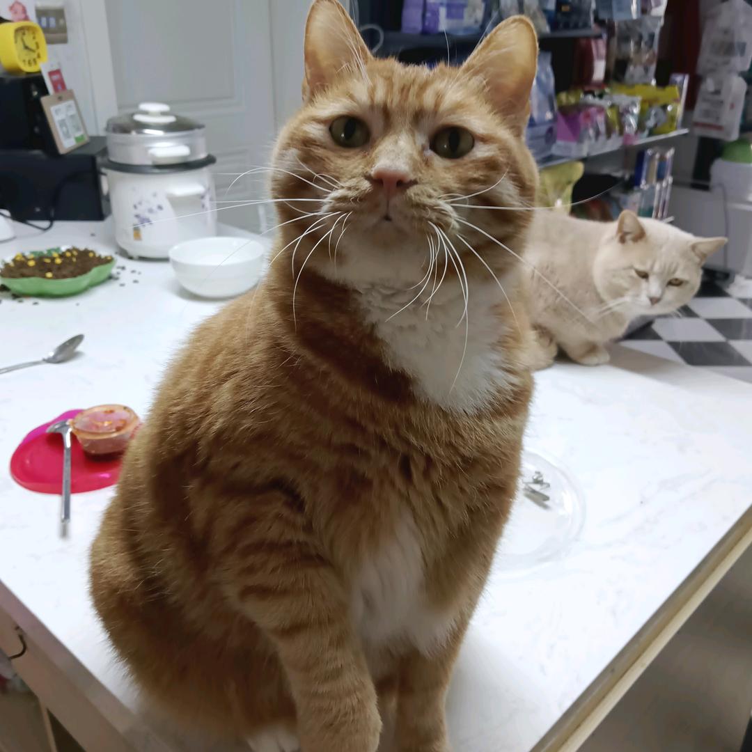 仁泰动物医院天伦店